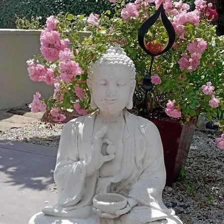 Camelias *