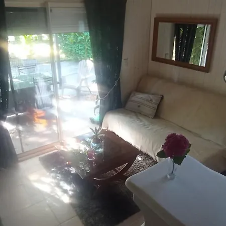 Camélias * Laboutarie